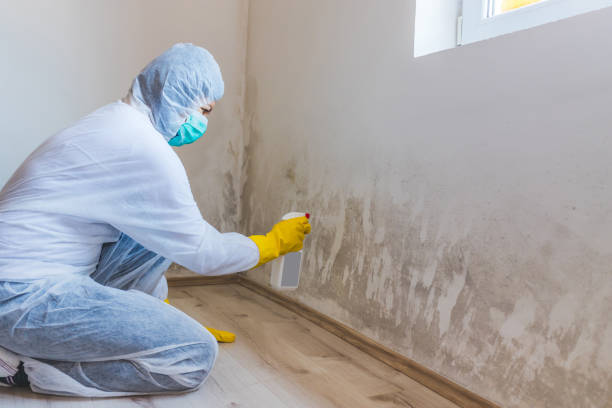 Mold inspector in Kearny performing thermal imaging