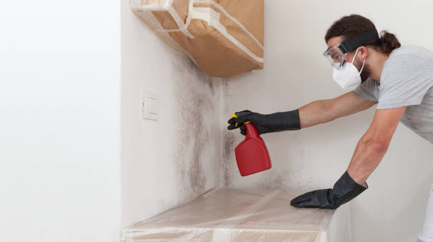 Attic Mold Remediation treatment on roof deck in Kearny